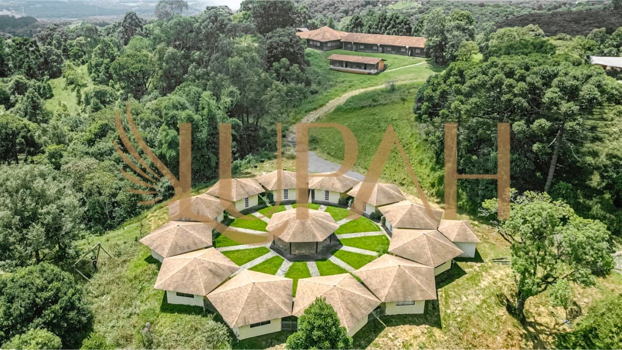 PAZ E MUITO VERDE EM CAMPO LARGO